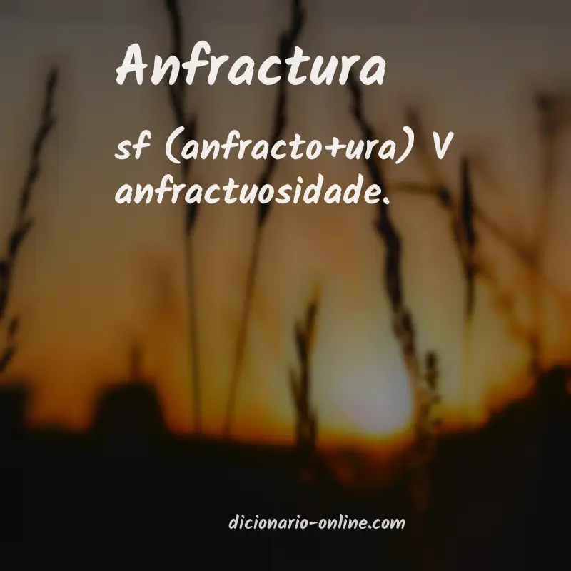 Significado de anfractura