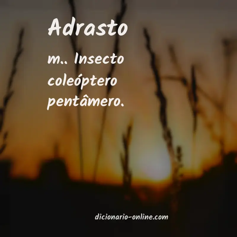Significado de adrasto