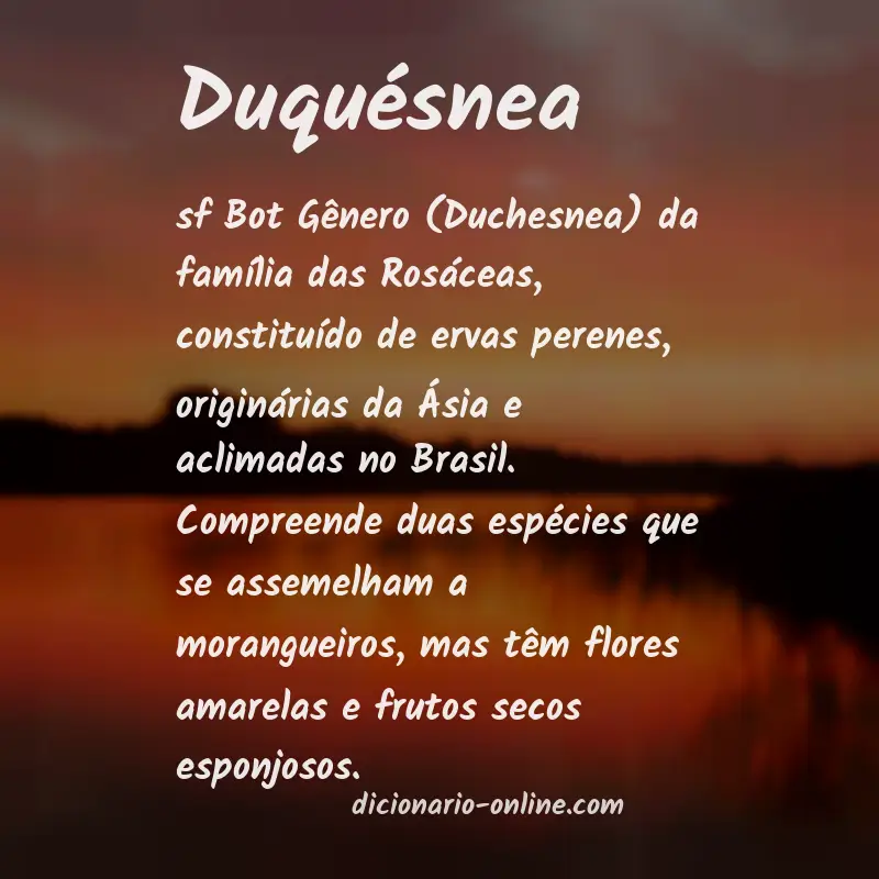 Significado de duquésnea