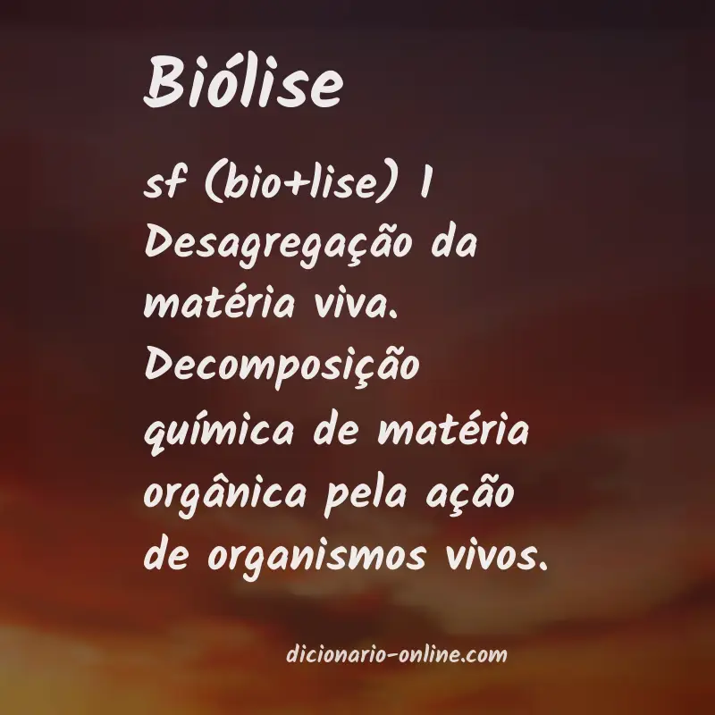 Significado de biólise