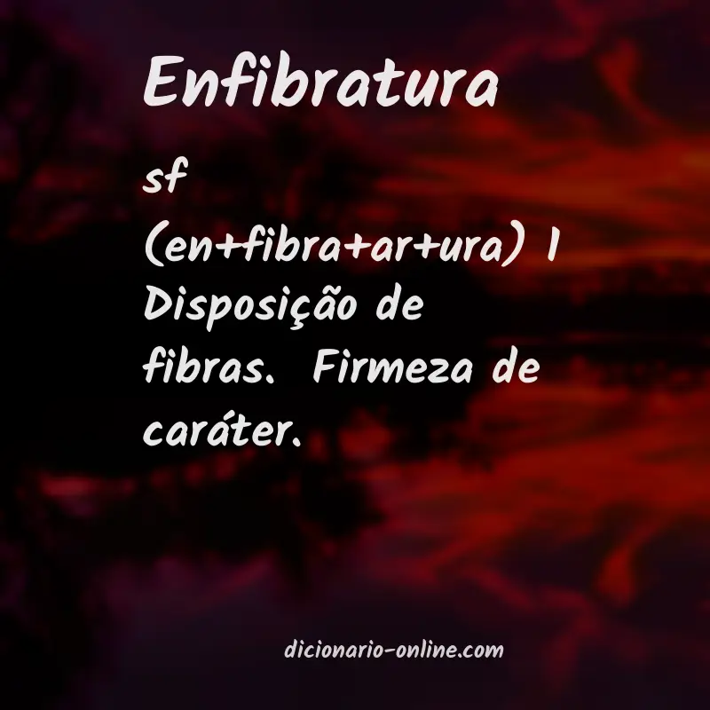 Significado de enfibratura