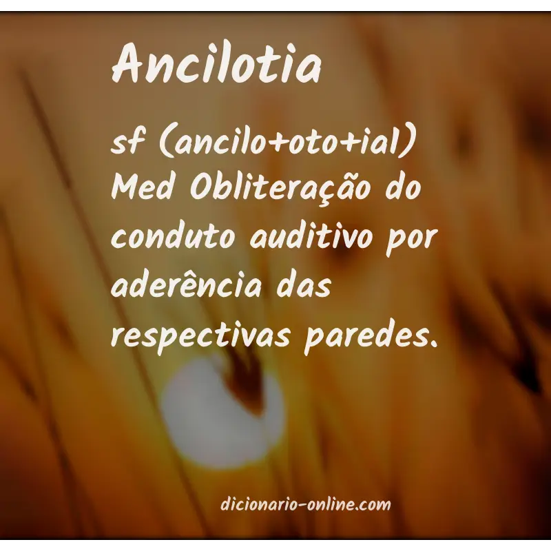 Significado de ancilotia