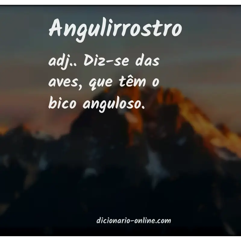 Significado de angulirrostro