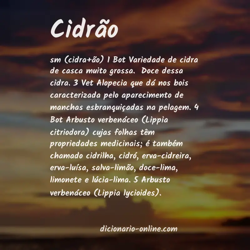 Significado de cidrão