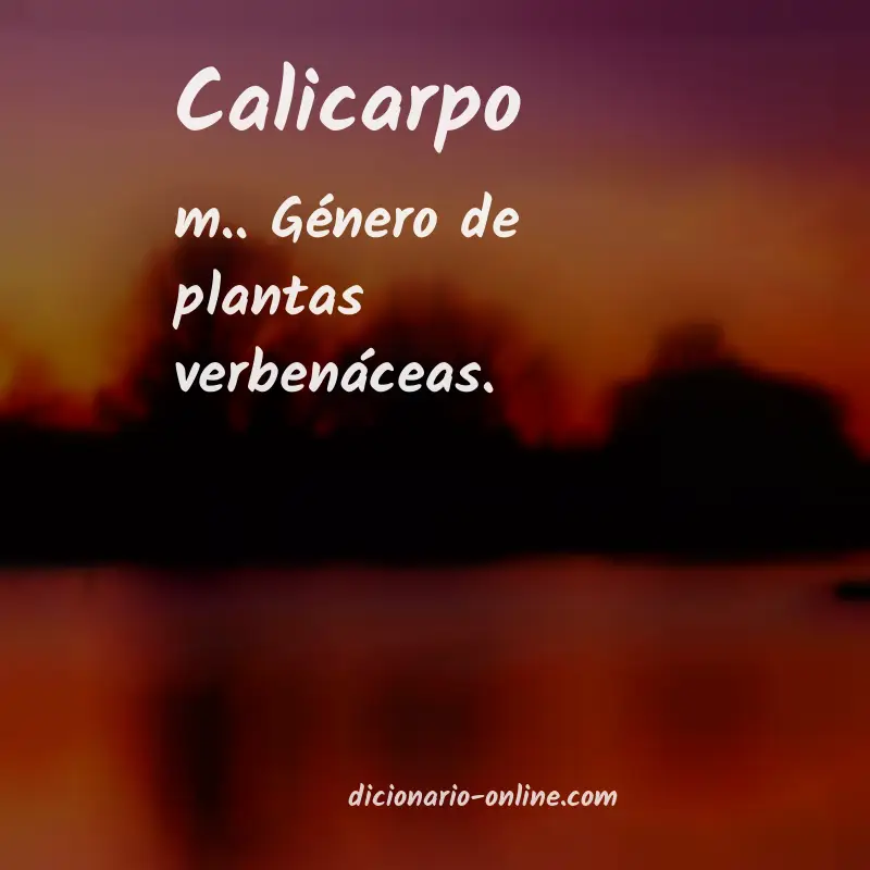 Significado de calicarpo