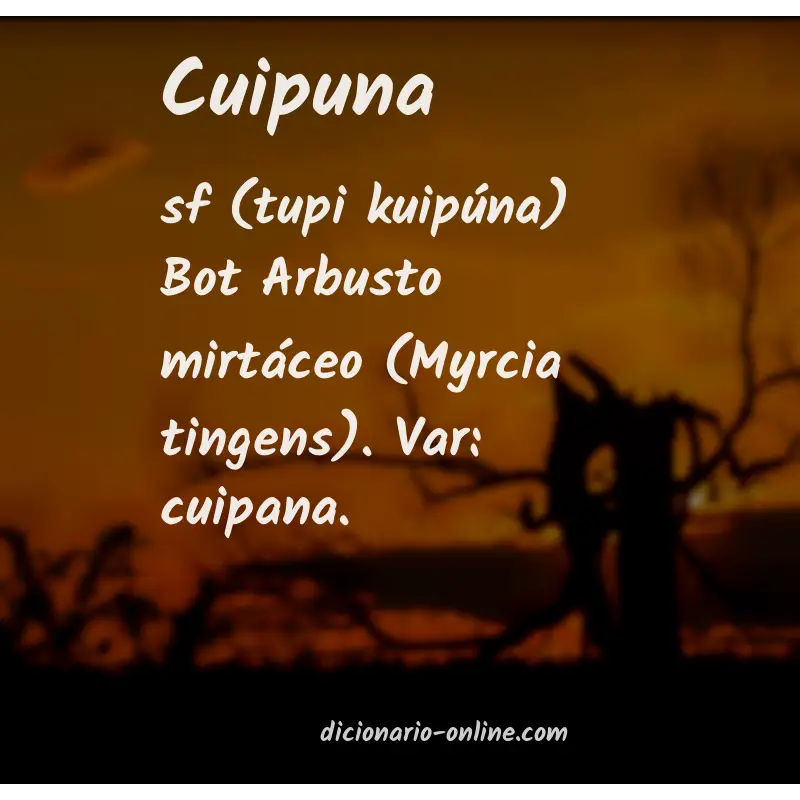 Significado de cuipuna