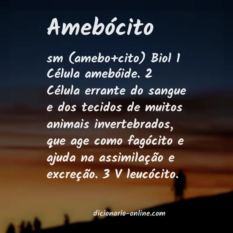 Significado de amebócito