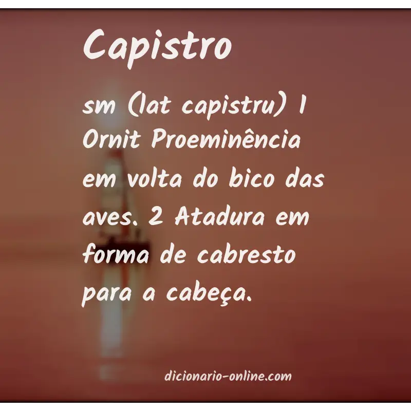Significado de capistro