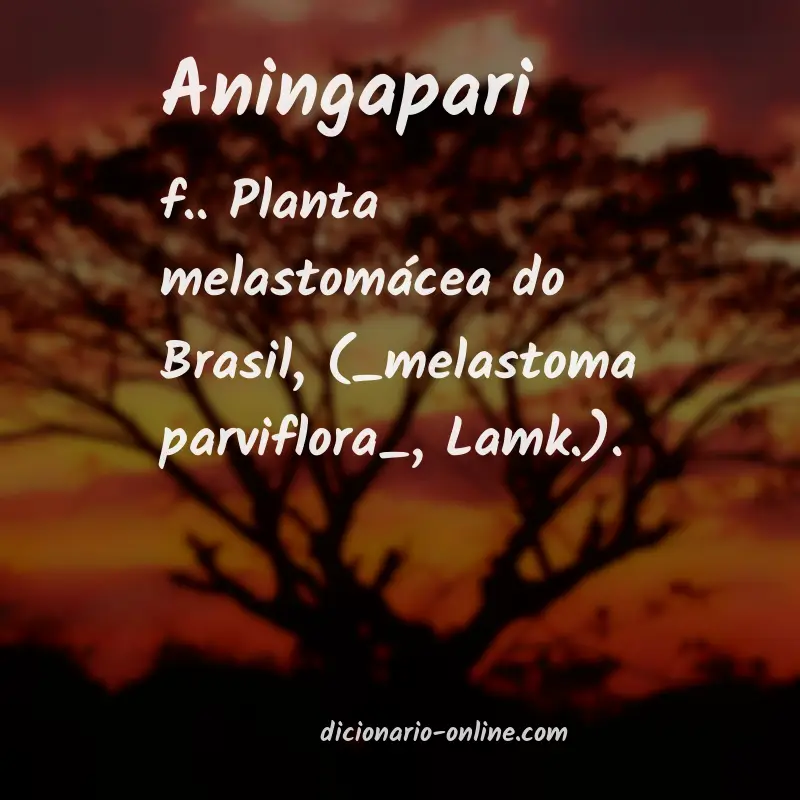 Significado de aningapari