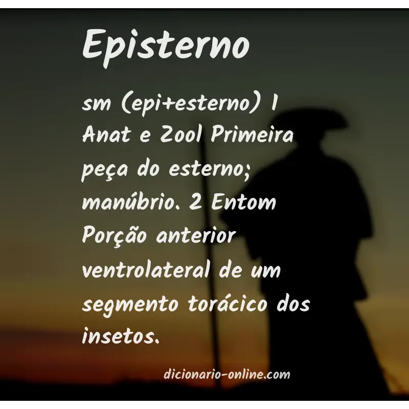 Significado de episterno