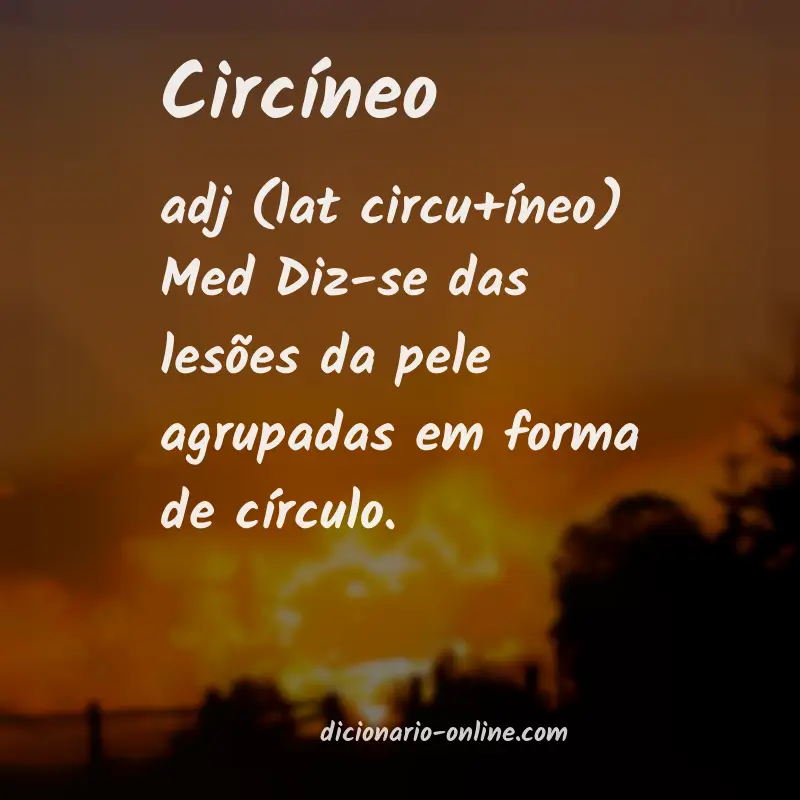 Significado de circíneo