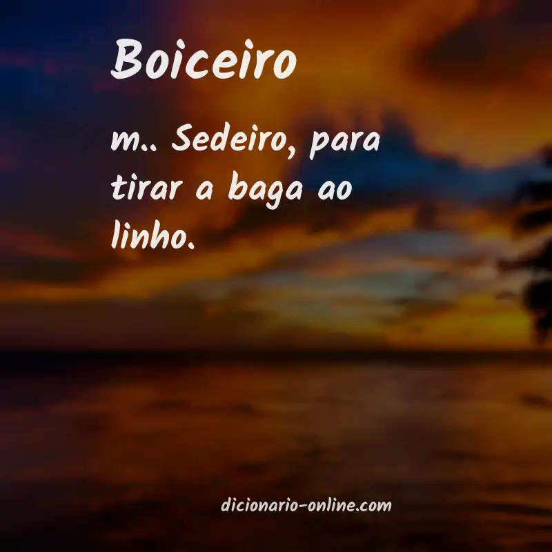 Significado de boiceiro