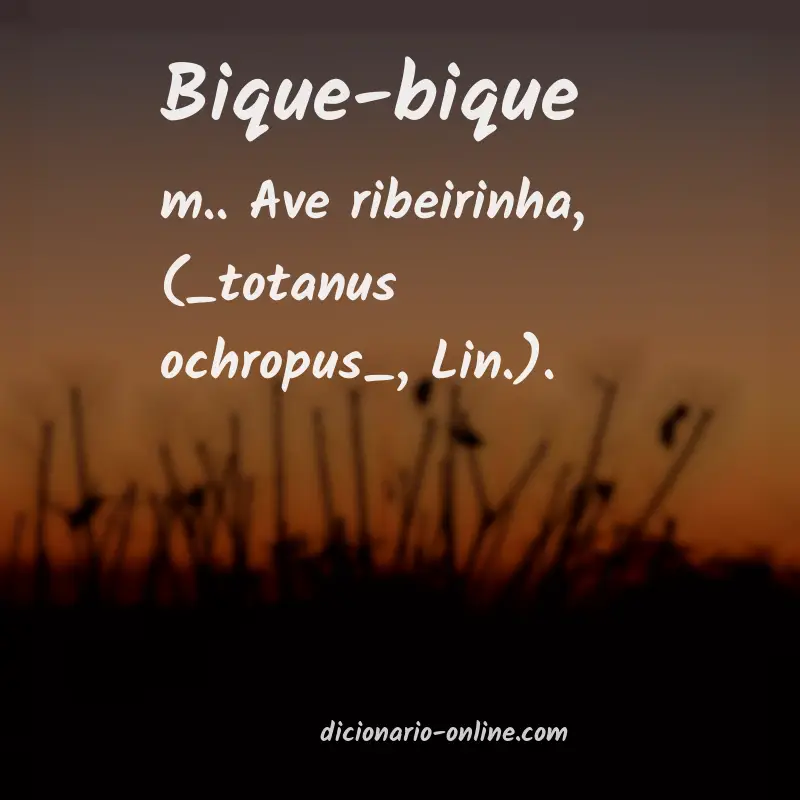 Significado de bique-bique