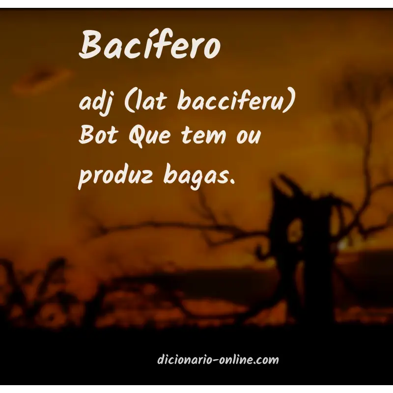 Significado de bacífero