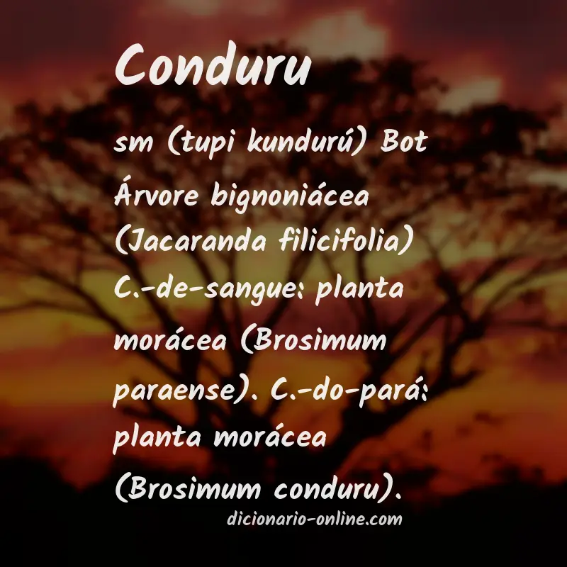 Significado de conduru