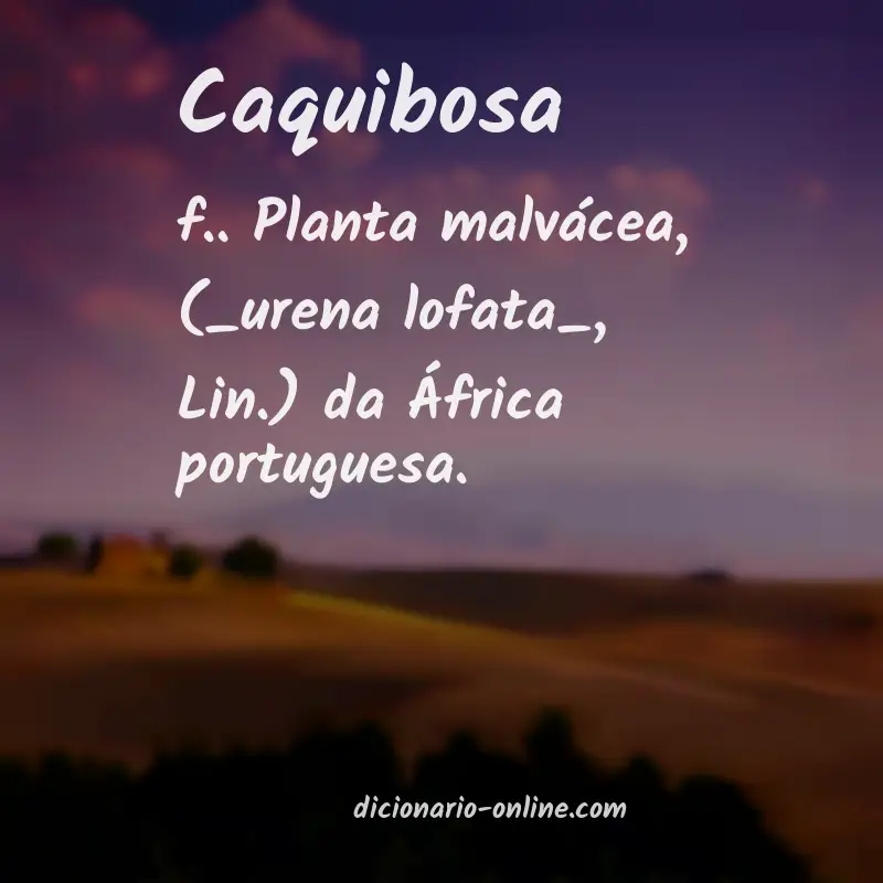 Significado de caquibosa
