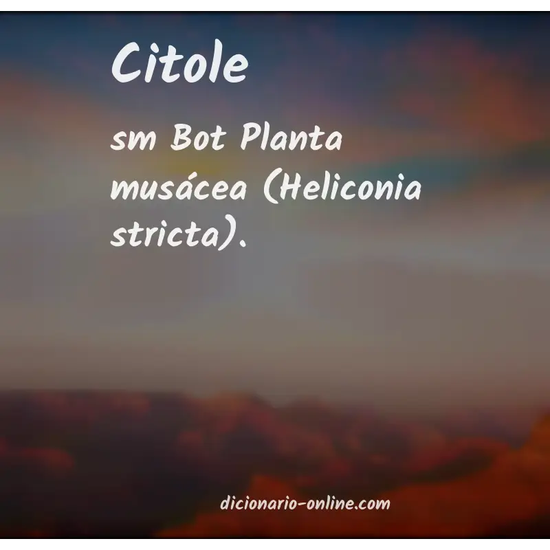 Significado de citole
