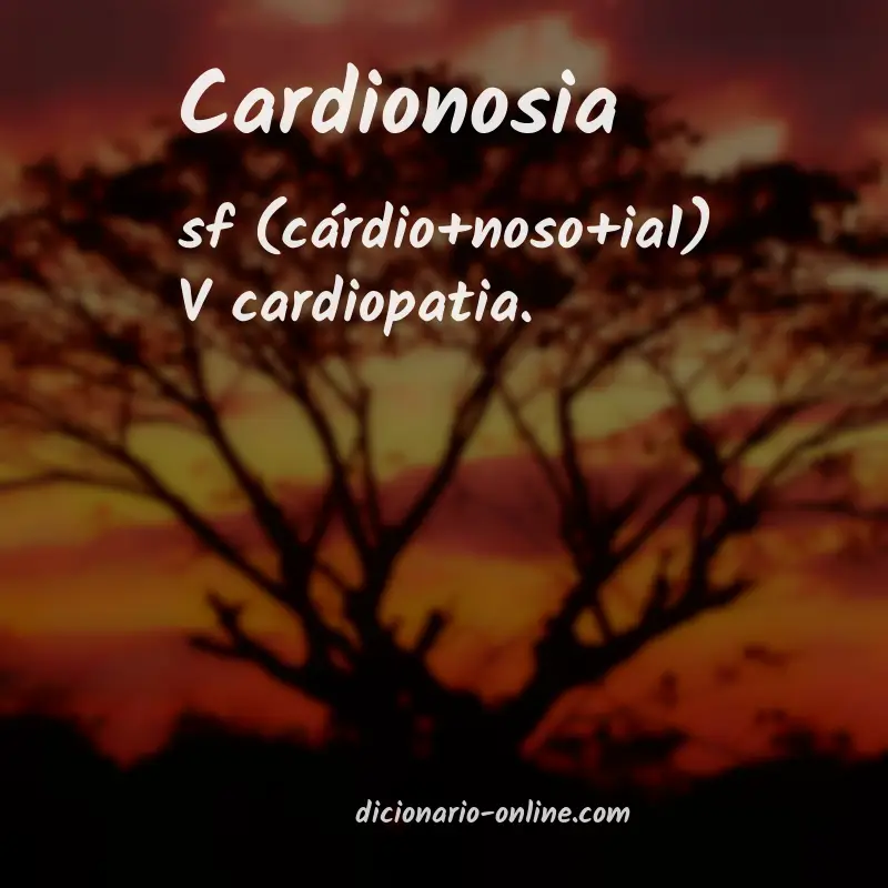 Significado de cardionosia