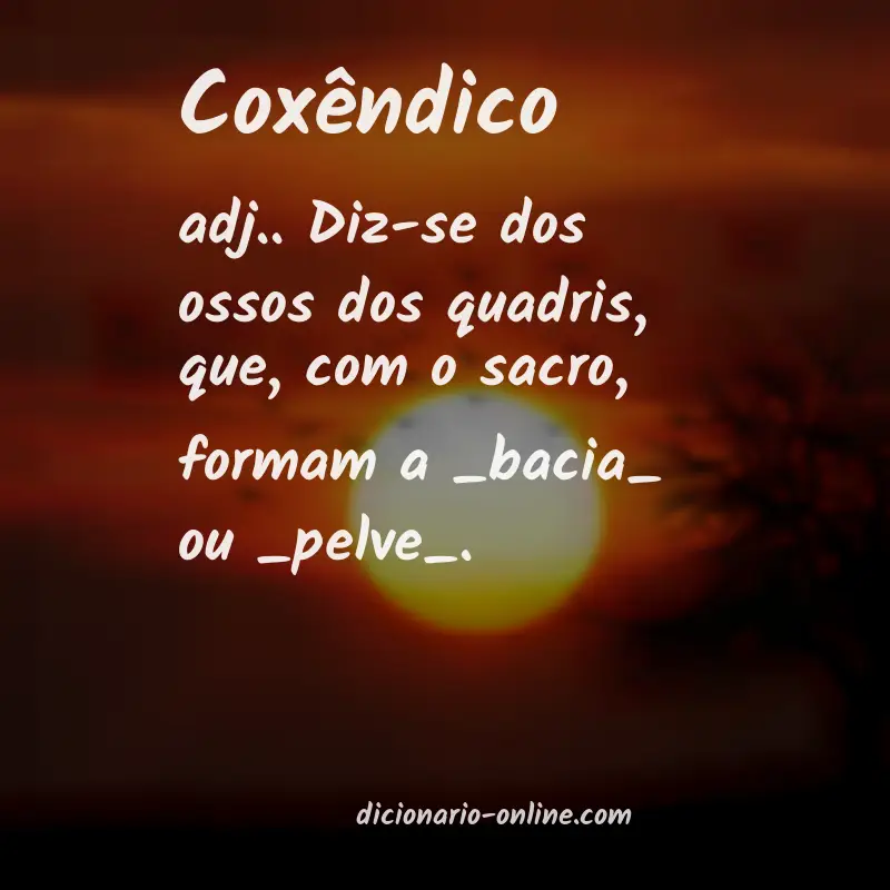 Significado de coxêndico