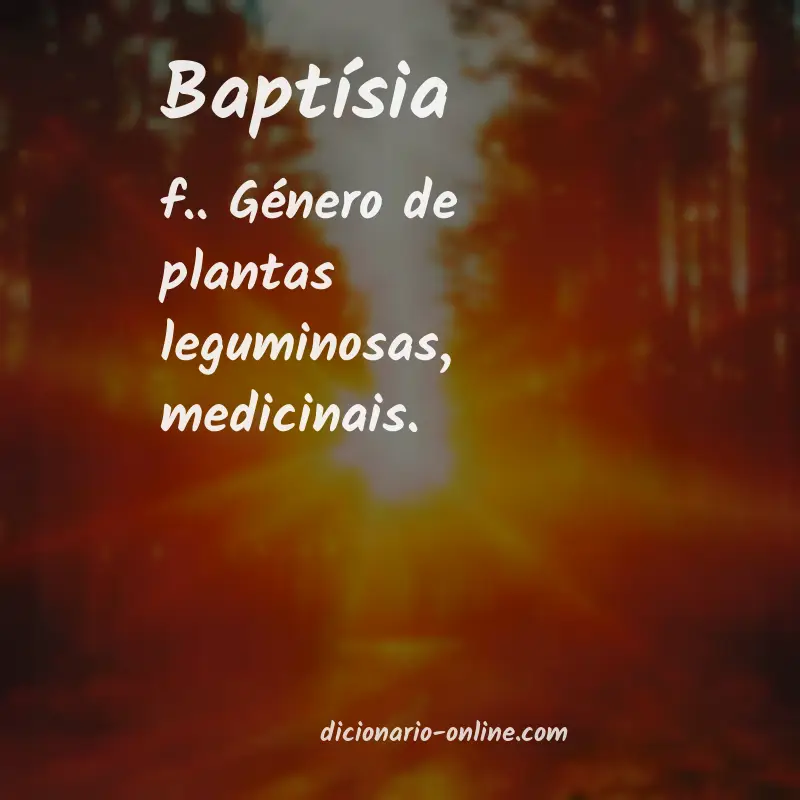 Significado de baptísia