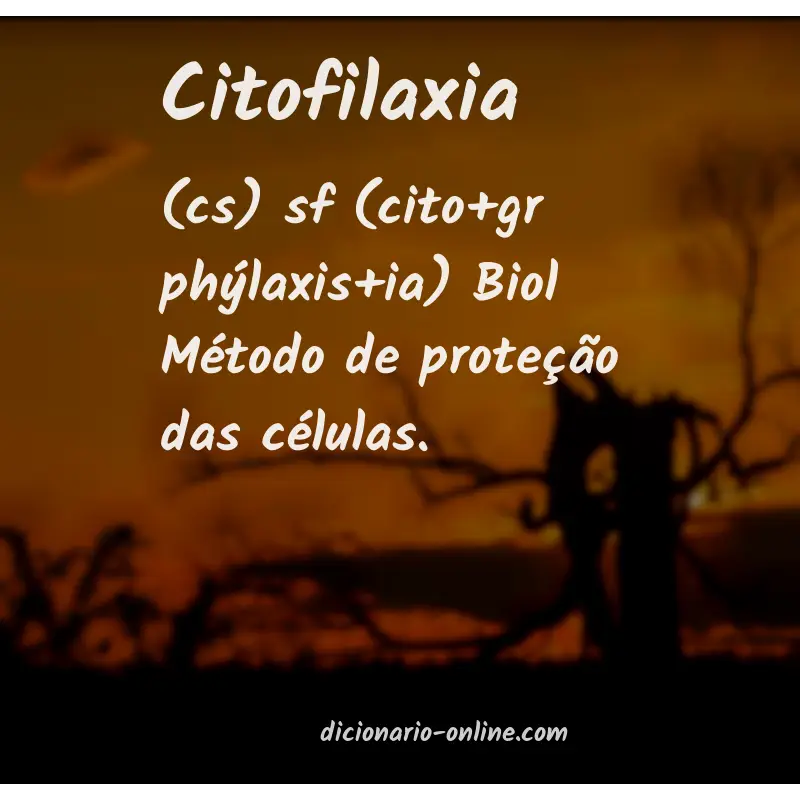 Significado de citofilaxia