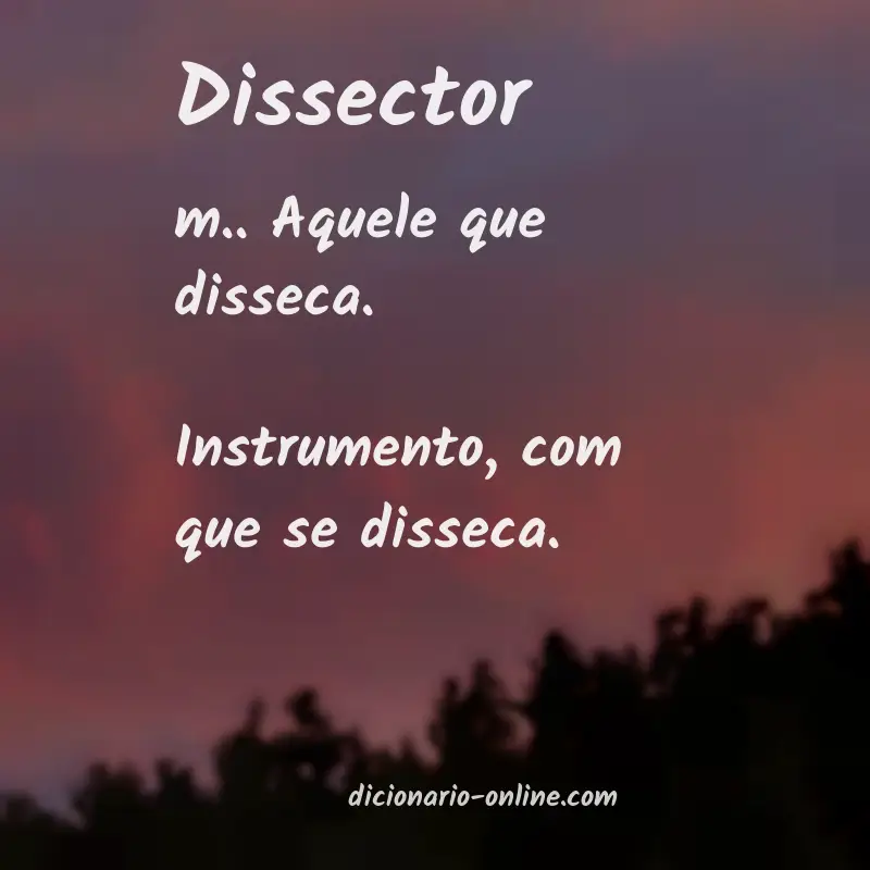 Significado de dissector