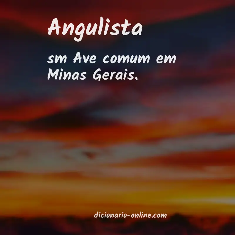 Significado de angulista