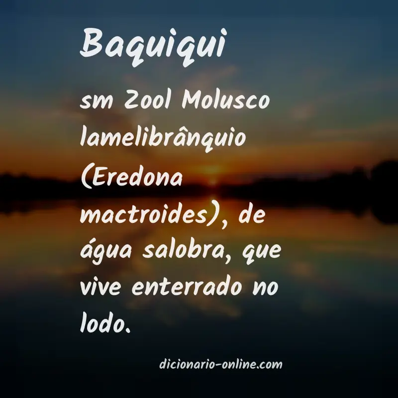 Significado de baquiqui