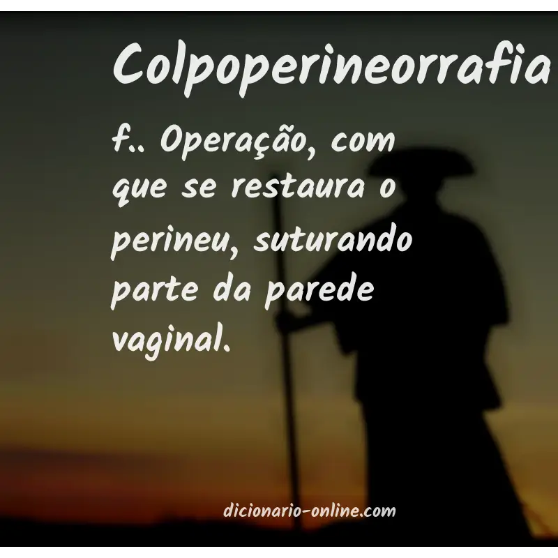 Significado de colpoperineorrafia