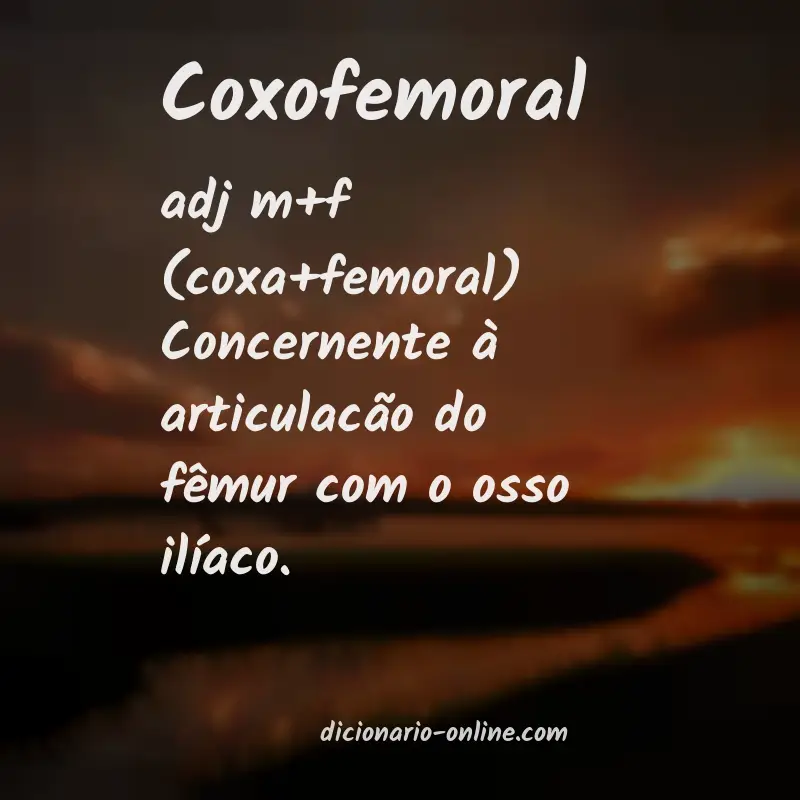 Significado de coxofemoral