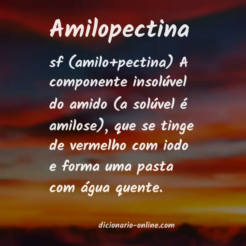 Significado de amilopectina