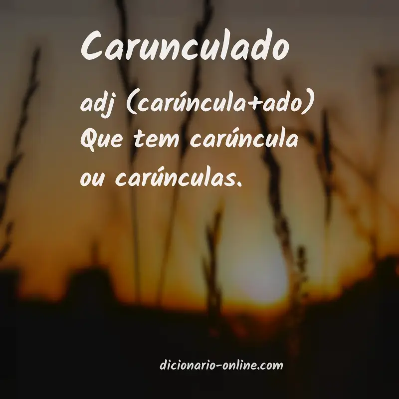 Significado de carunculado