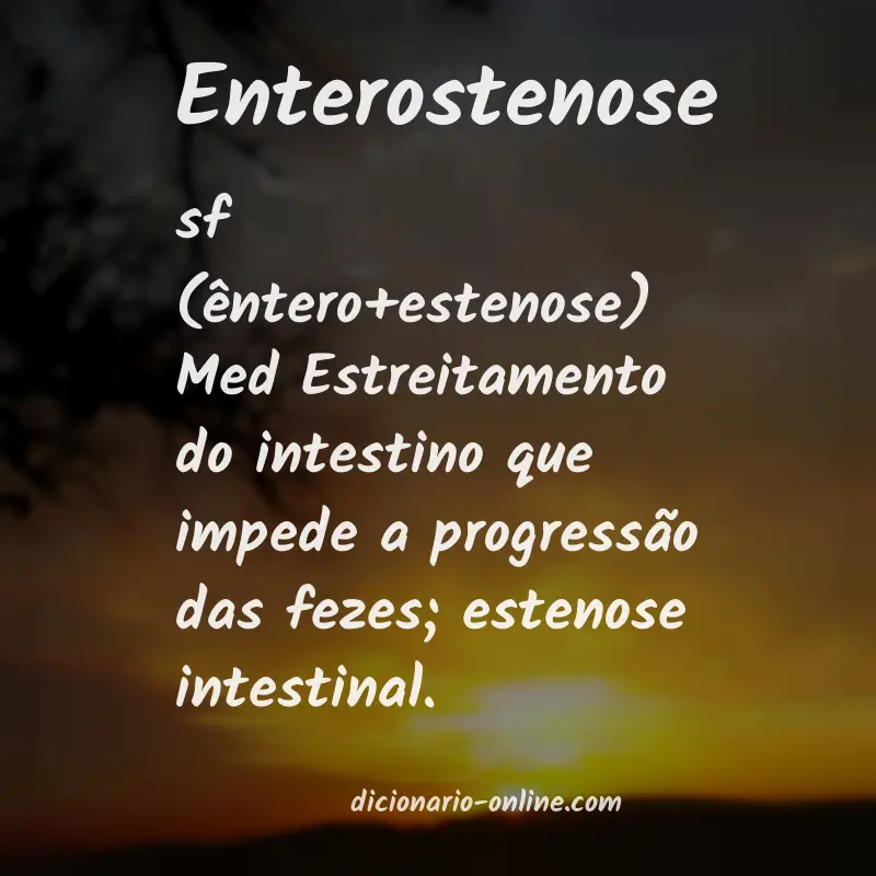 Significado de enterostenose