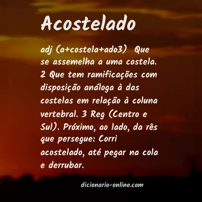 Significado de acostelado