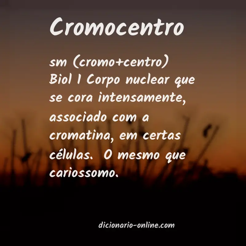 Significado de cromocentro
