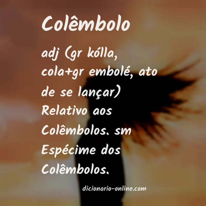 Significado de colêmbolo
