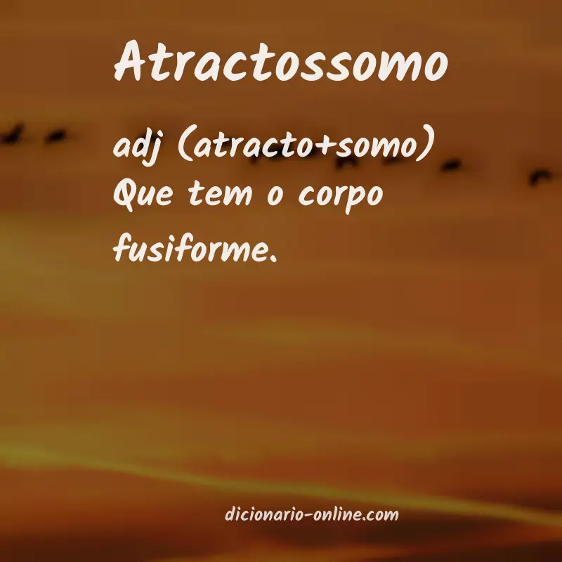 Significado de atractossomo