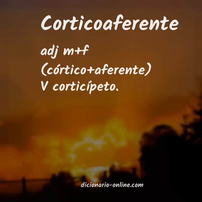 Significado de corticoaferente