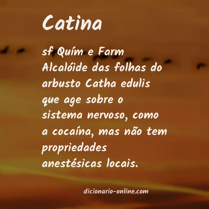 Significado de catina