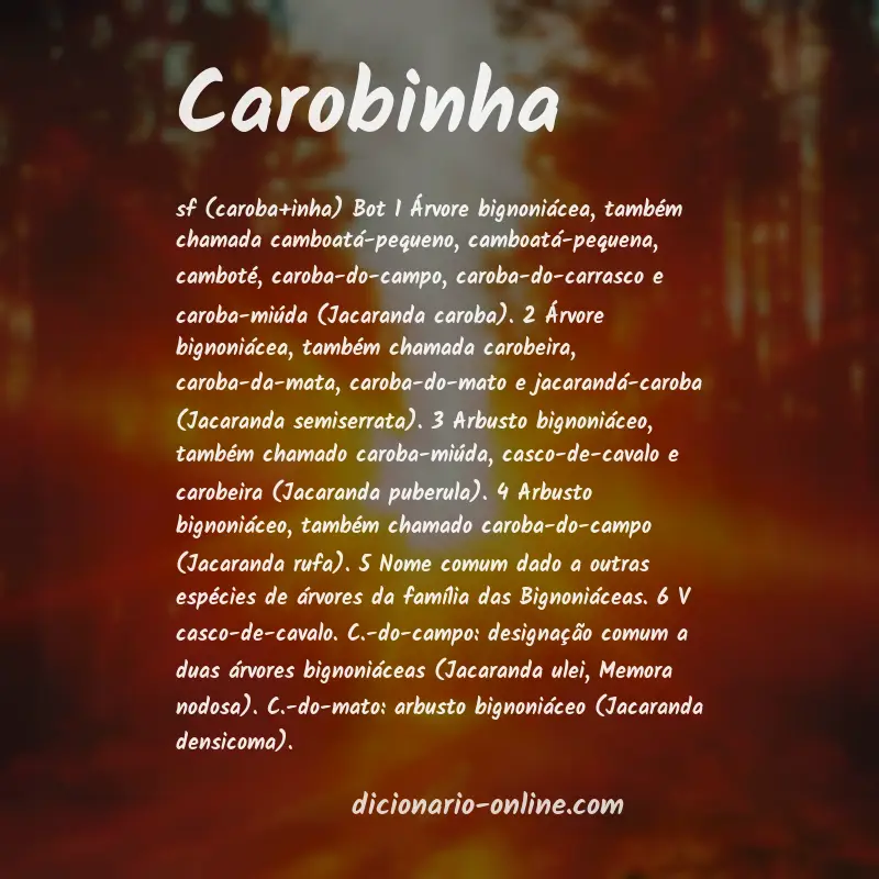 Significado de carobinha