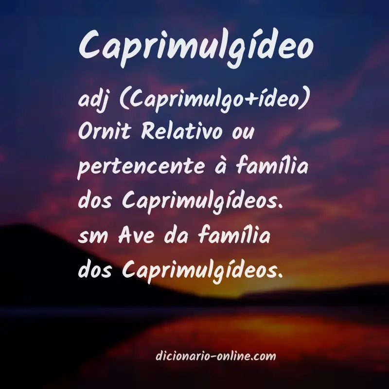 Significado de caprimulgídeo
