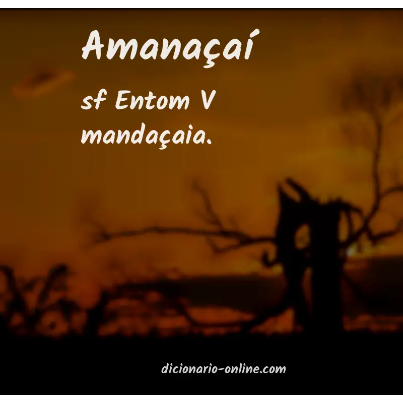 Significado de amanaçaí
