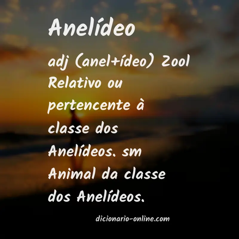 Significado de anelídeo