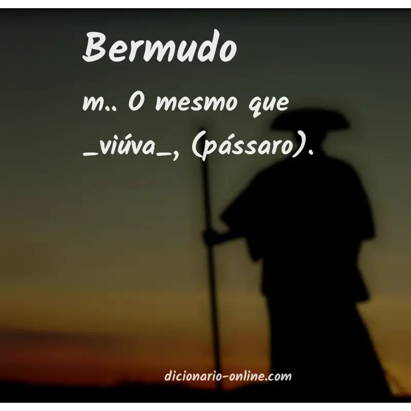 Significado de bermudo