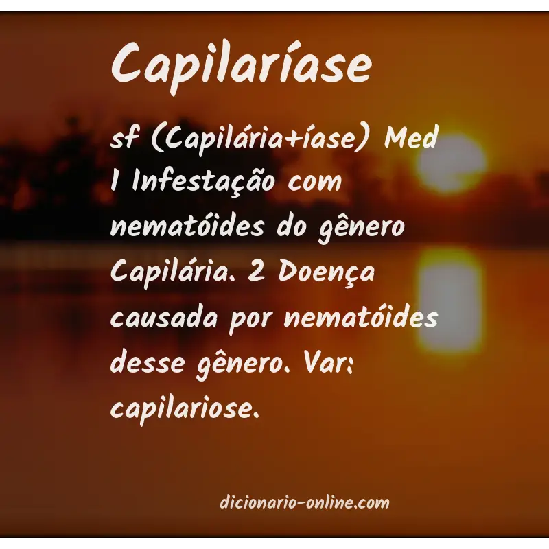 Significado de capilaríase