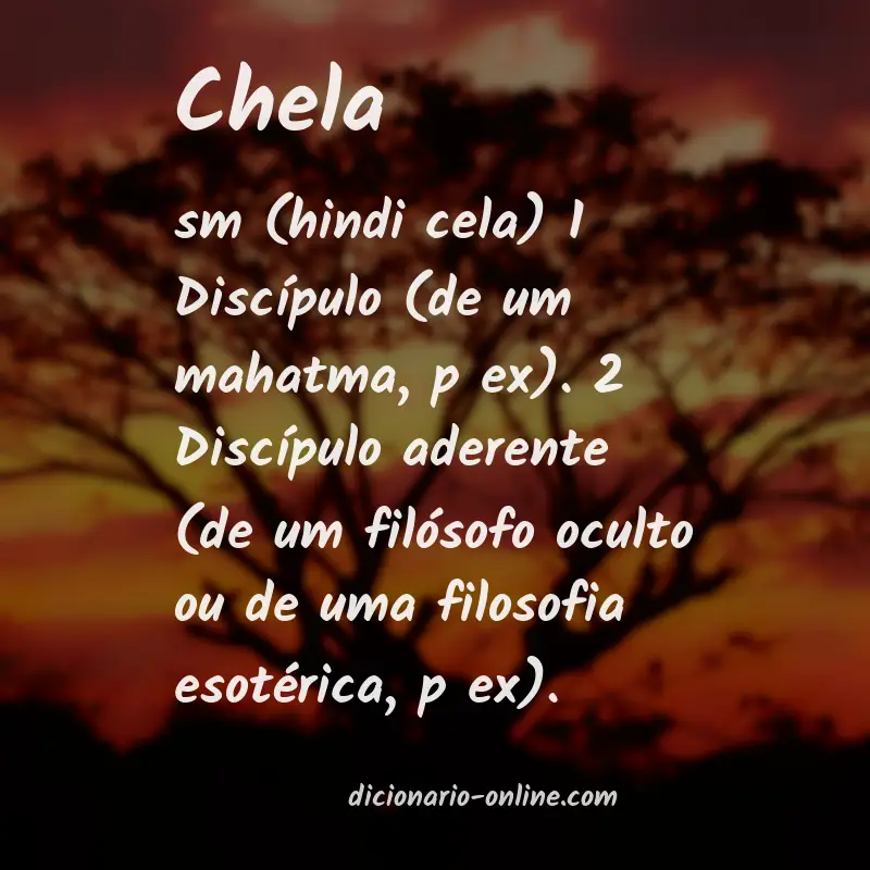 Significado de chela