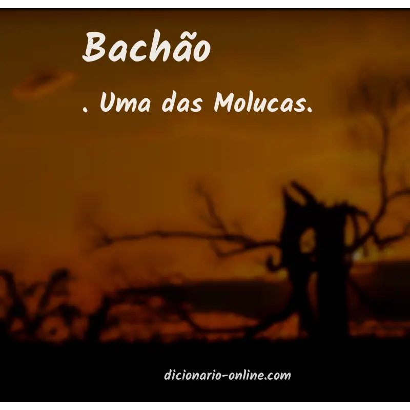 Significado de bachão