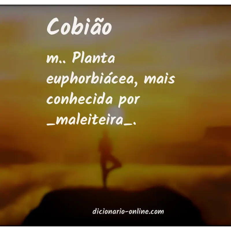 Significado de cobião