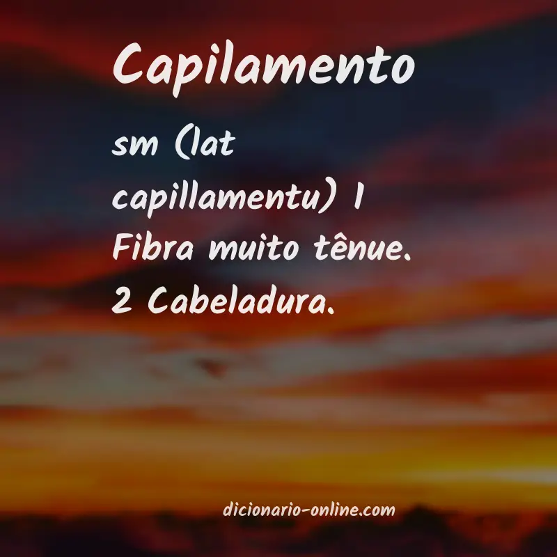 Significado de capilamento