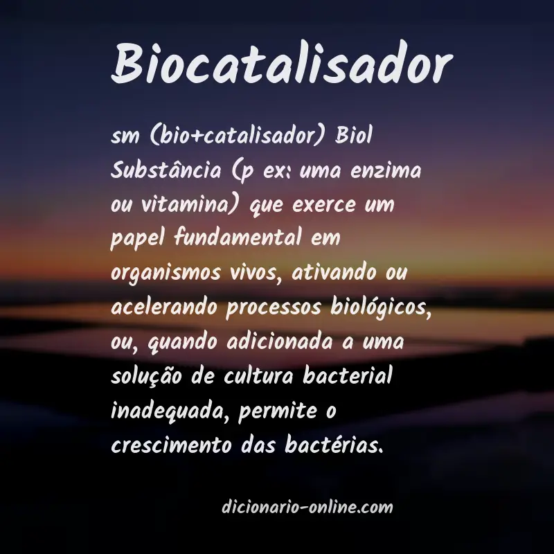 Significado de biocatalisador